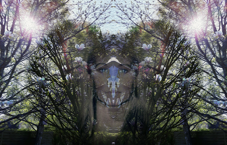 20180512_194040.png