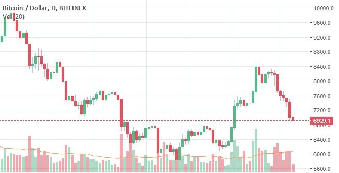 BTC USD CHART.jpg