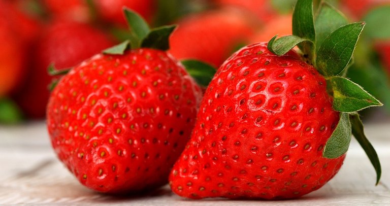 strawberries-3089148_960_720.jpg