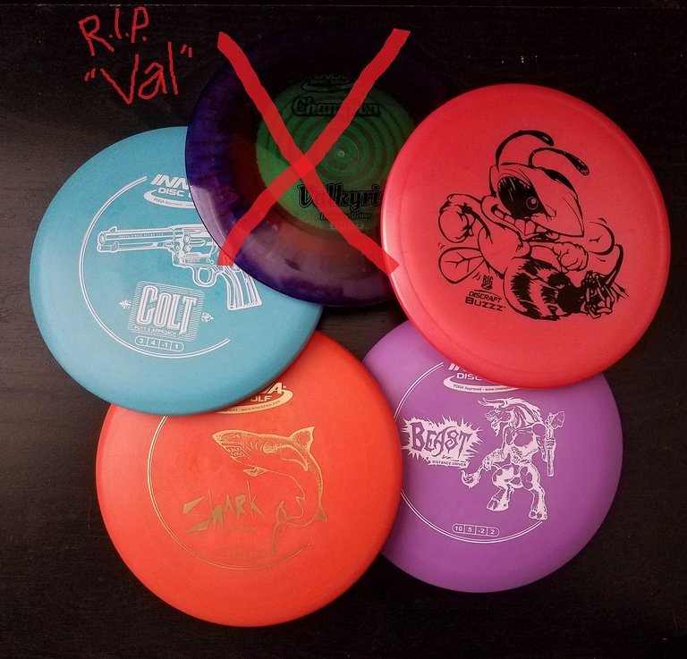 steemit-enternamehere-discgolf-rip-val.jpg