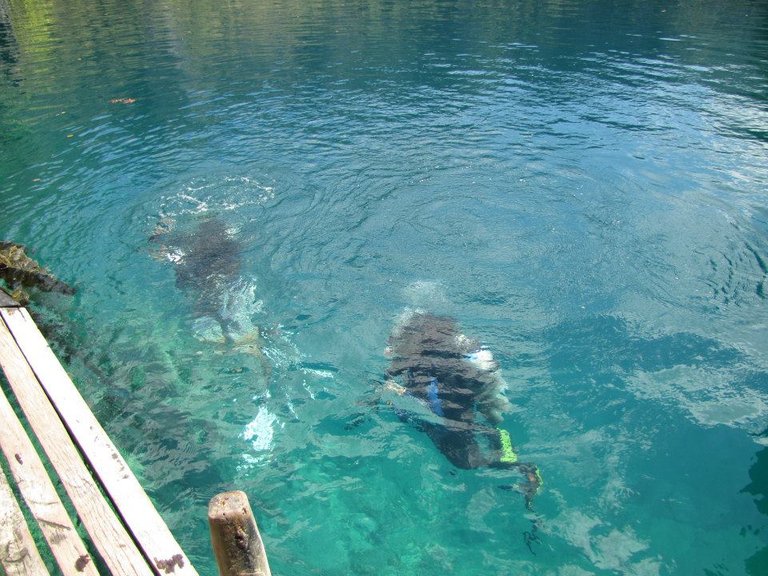 Scuba_diving_BarracudaLake.jpg