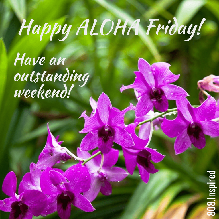 808 Aloha Friday-PixTeller-261128.png