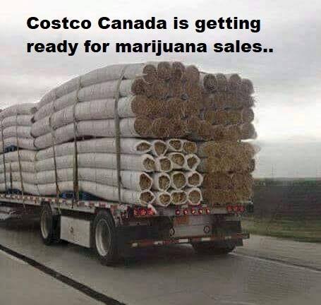 costco.jpg