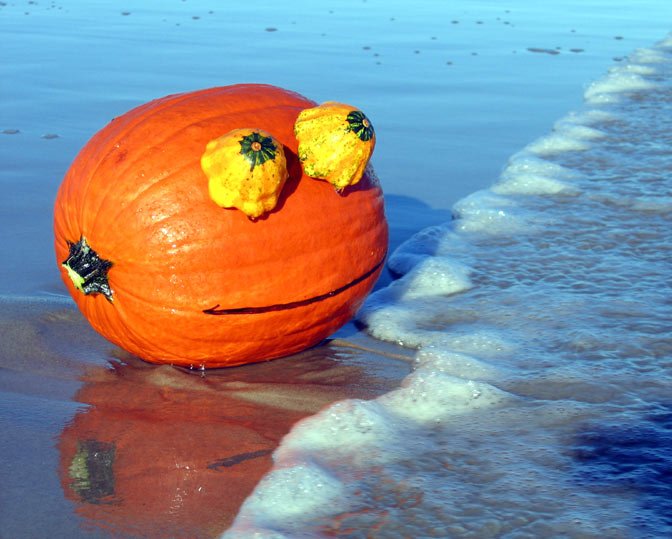 Pumpkin on the Beach - Rupert Pumpkin Beach.jpg