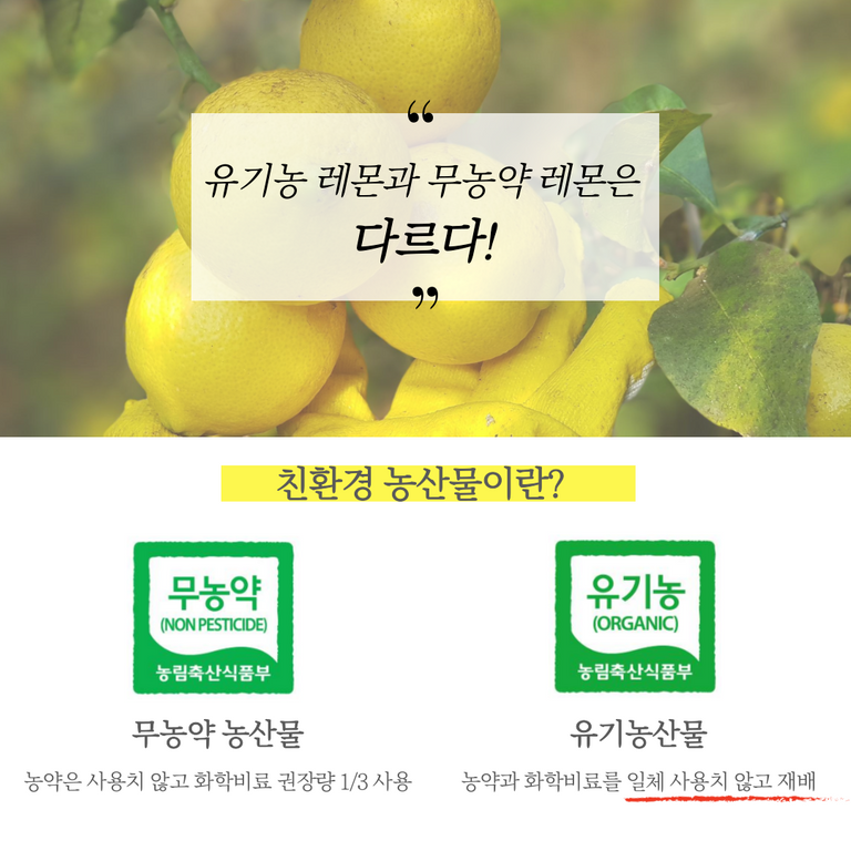 제목을-입력해주세요.-2.png