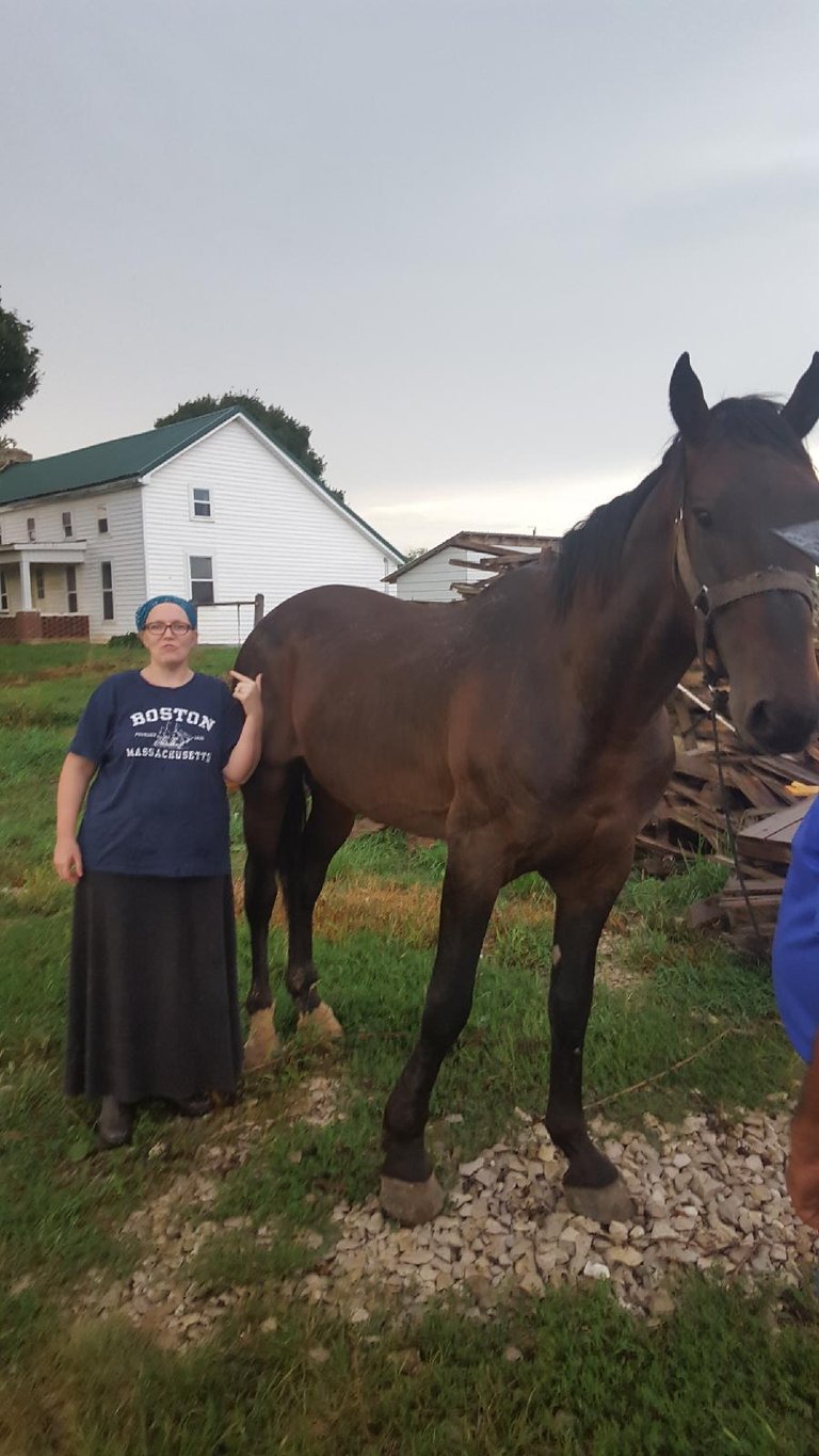 Resized_20180831_194542.jpeg