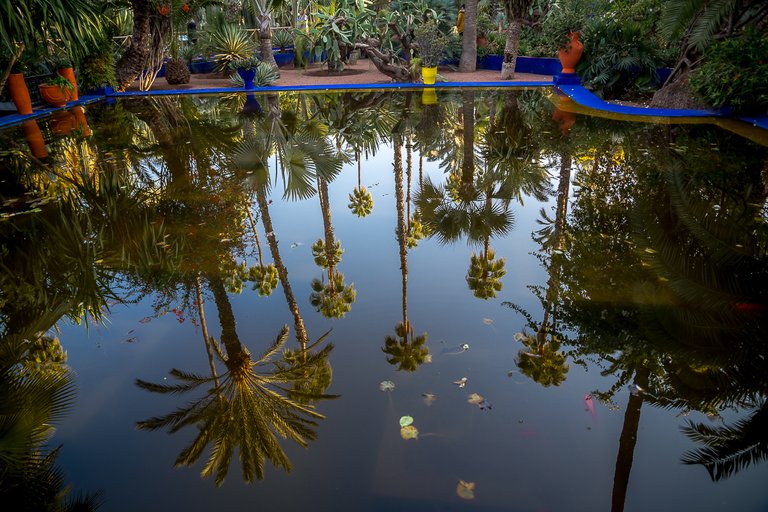 Les Jardins de la Majorelle 77.jpg