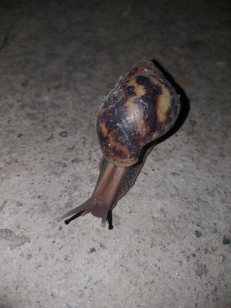 20180823_213102.jpg