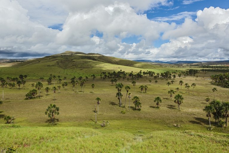 gran-sabana.jpg