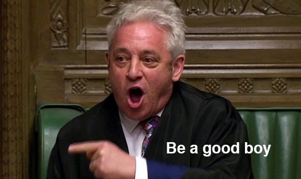 john-bercow-1173843GOOD.jpg