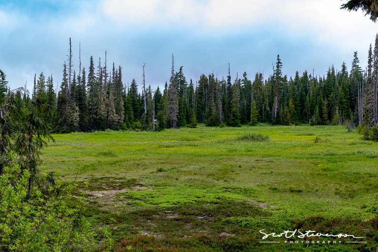 Strathcona Park-4.jpg