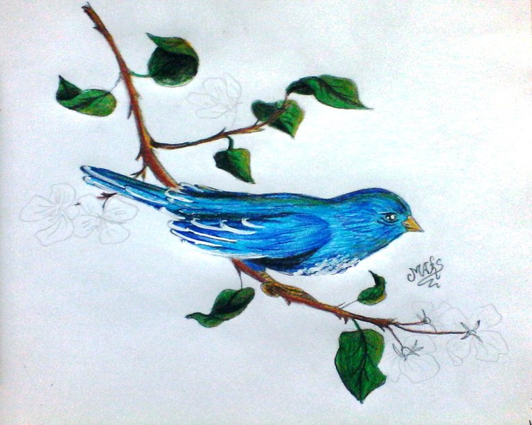 POESIA Y DIBUJO (3).jpg