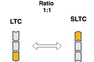 RSK+1_1.jpg