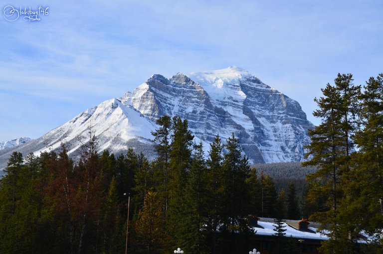 bow valley parkway7.jpg