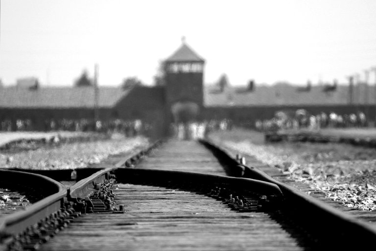 birkenau-402324_1280.jpg