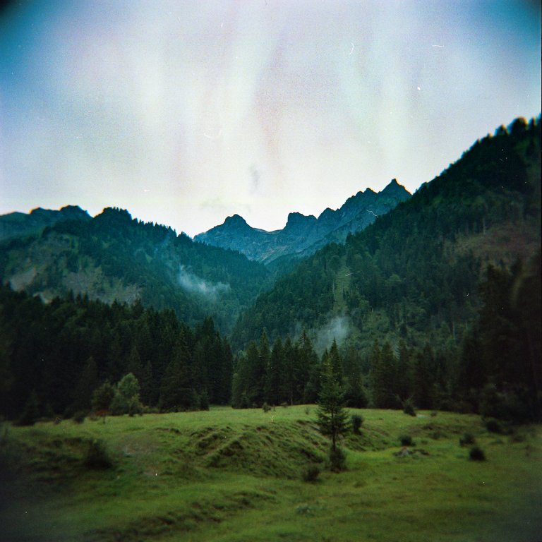 Holga120_800Portra215.jpg