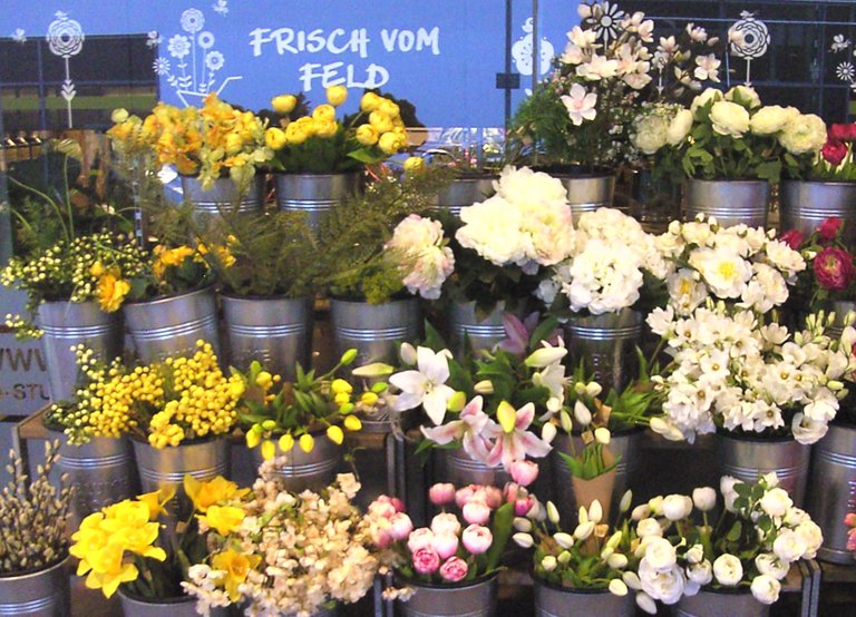 Blumen_05.jpg