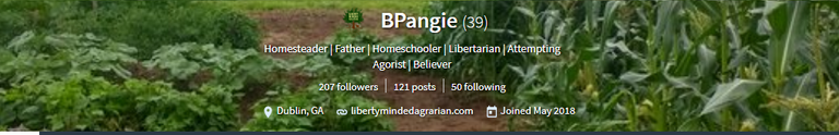 bpangie.png