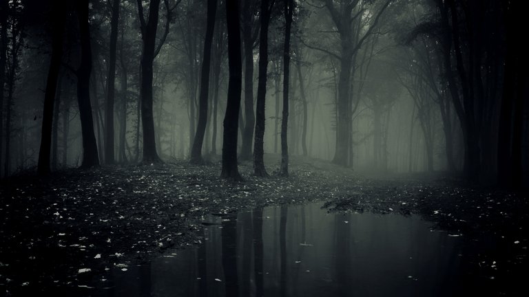 Full-Hd-Of-Scary-Forest-Wallpaper-Creepy-Images-Mobile.jpg