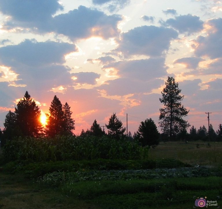 garden sunrise 2010-a.JPG