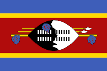 Swazi flag16-26-28-.png