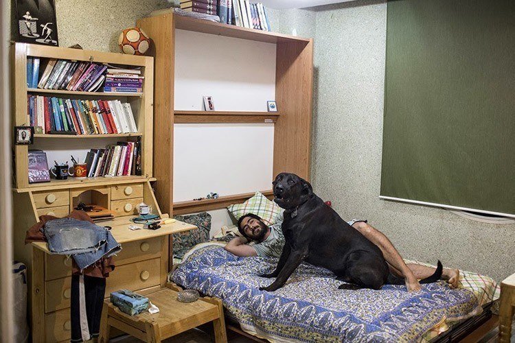 Inside-Iran-dog-bed.jpg