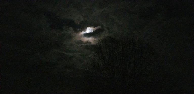 20181215_214232 - Gorgeous moon above Bradford pear tree.jpg