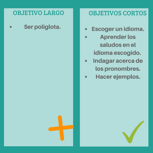 OBJETIVO LARGO (1).png