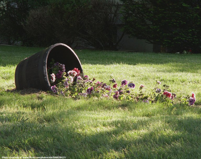 Spilled Barrel of Flowers-110216.jpg