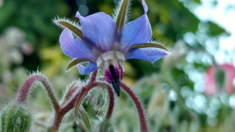 IMG_20190719_200731405_HDR.jpg