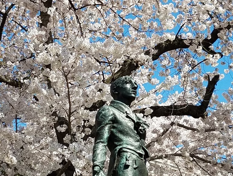 statue tree cropped.jpg