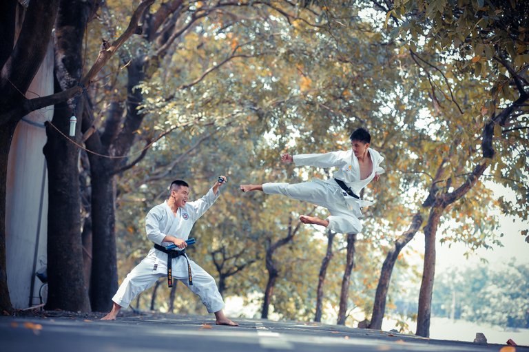 Learn Martial Arts.jpg