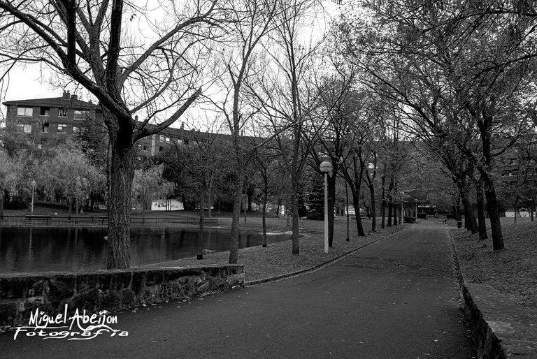 Parke Black and white 3.jpg