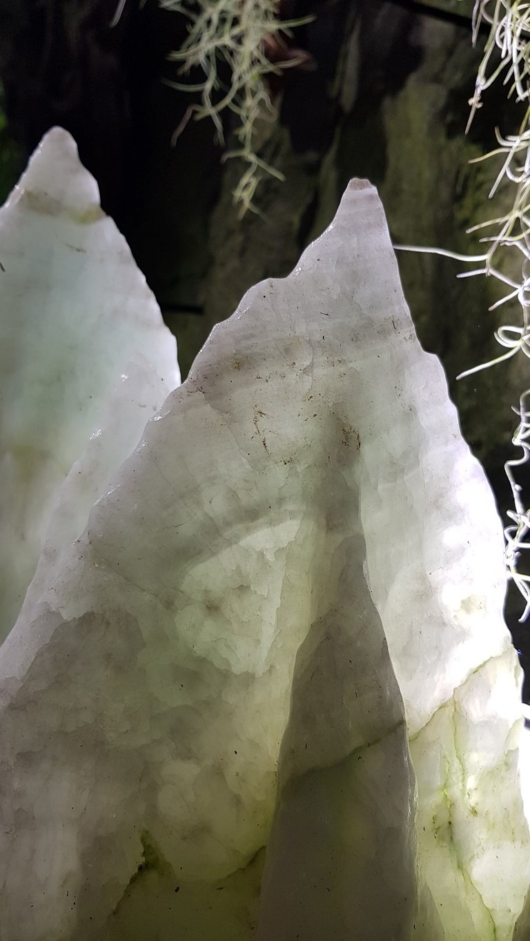 stalagamite No. 10 contest image.jpg