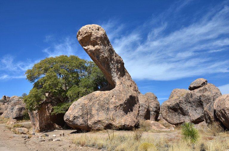 City of Rocks, NM 1.jpg