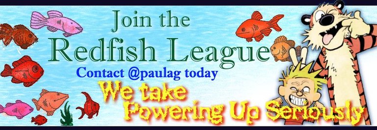 redfishleaguebanner..jpg