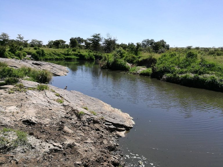 Maasai National Reserve27.jpg