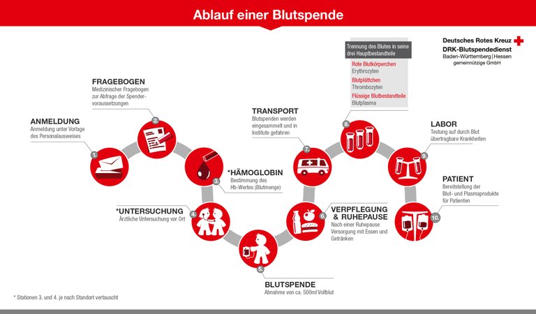 DRK_Ablauf_einer_Blutspende.jpg