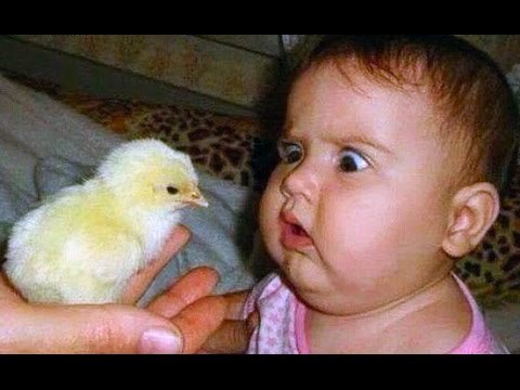 try-not-to-laugh-funny-babies-compilation-2017.jpg