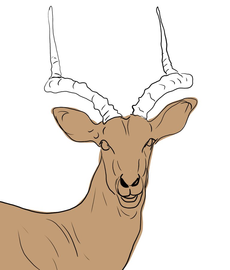 deer (459).jpg