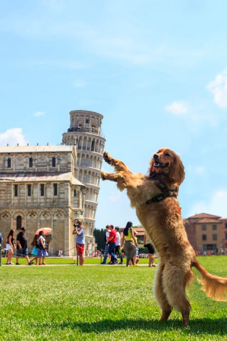 Torre-de-Pisa-15-466x700.jpg