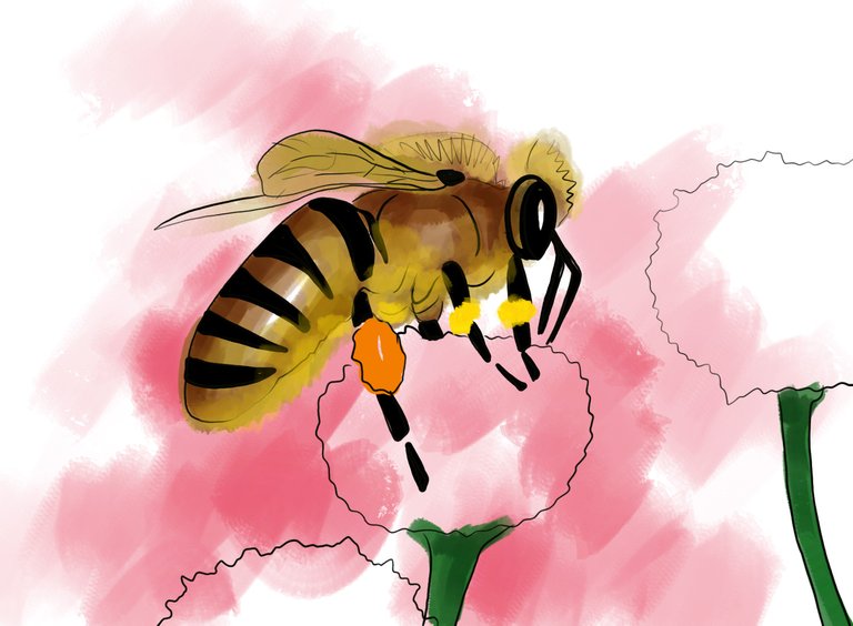 Bee (354).jpg