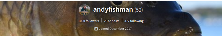 Screenshot-2018-5-29  andyfishman.png