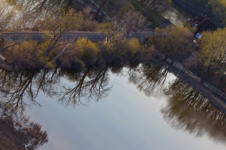 Pickerel Lake Tracks.jpg