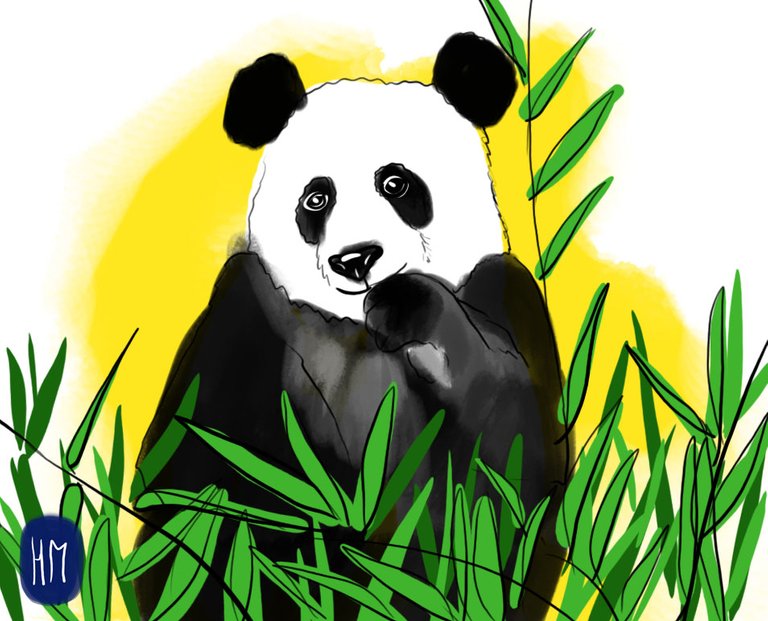 Panda(432).jpg