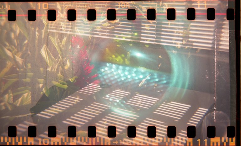 HOLGA-TUBO-EFA011.jpg