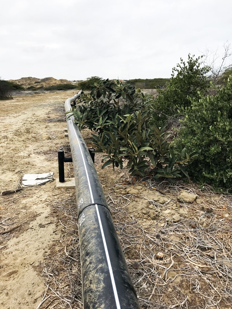 Oil pipelines across the natural landscape.JPG