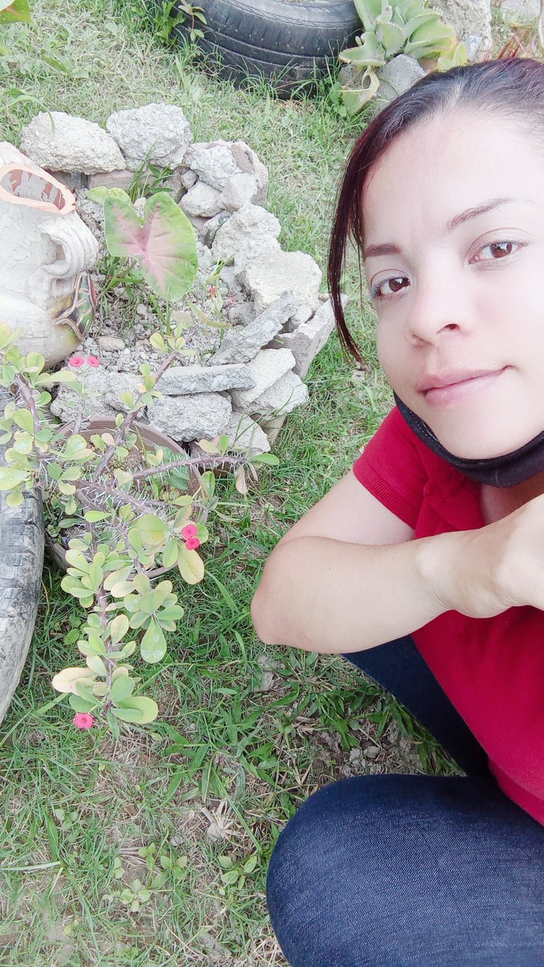 B612_20211021_162040_143.jpg