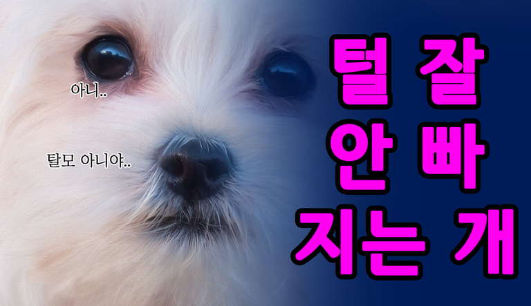 표지.png