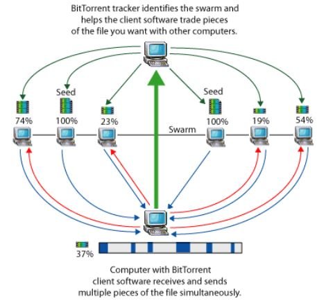 bittorrent.JPG